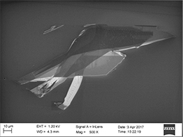 Image par MEB d’un échantillon de graphène à quelques couches obtenu par exfoliation mécanique