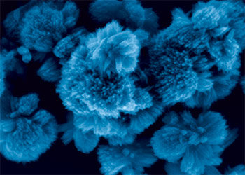 Nanoparticules de dioxyde de titane