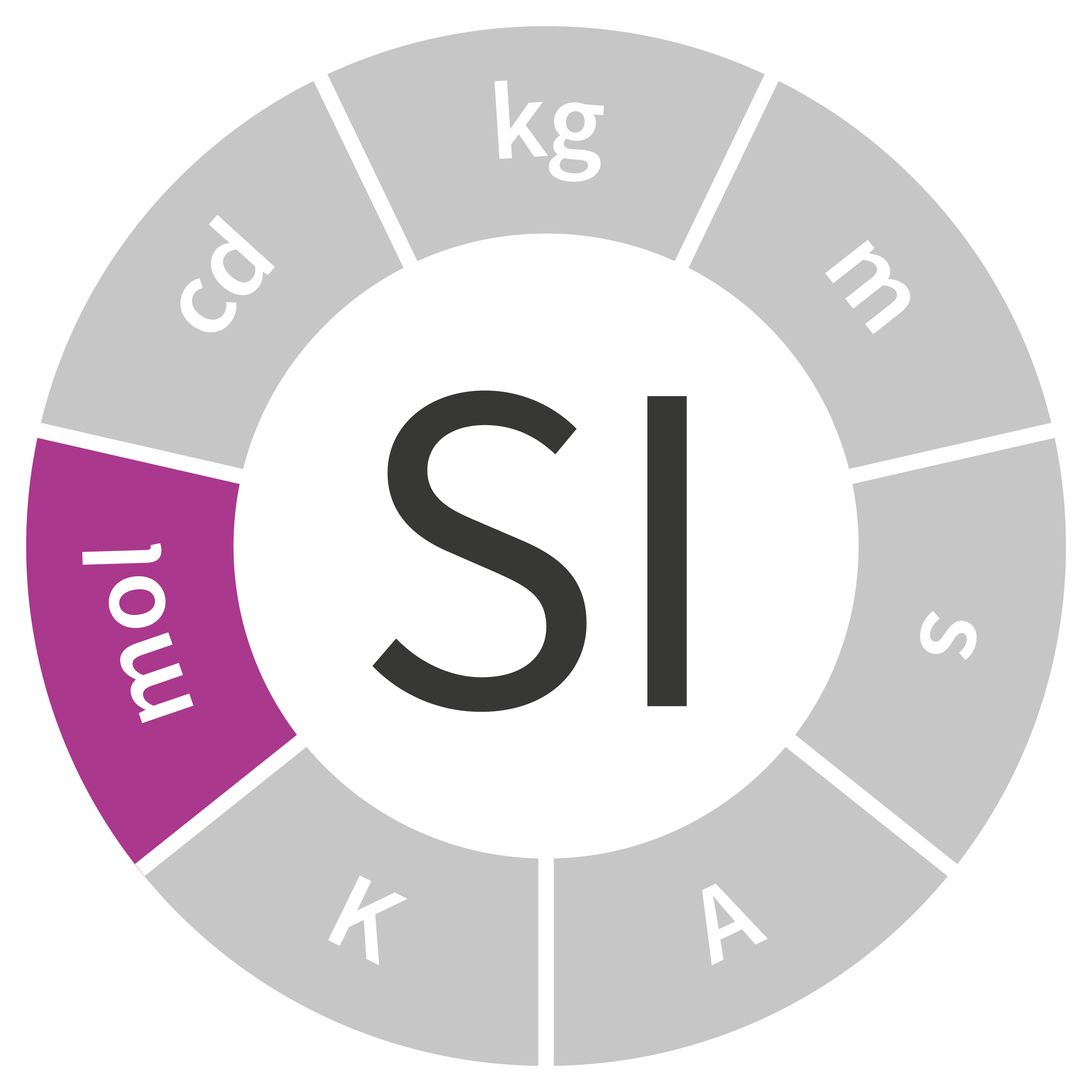 Logo SI - La mole