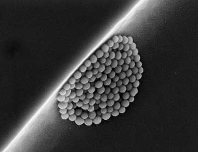 Nanoparticules de dioxyde de silice