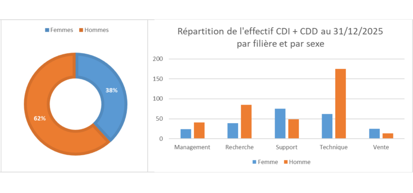 répartition-de-l'effectif-CDI+CDD-au-31122025 par filière et par sexe