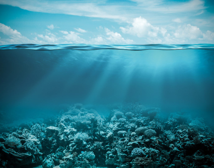 Acidification des océans, pH