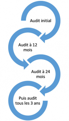 Cycle d'audit pour la certification IA