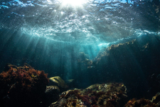 Fond de mer / océan : métrologie un outil pour mieux prédire