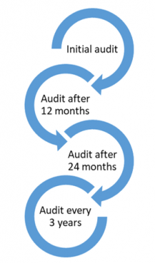 Audit cycle